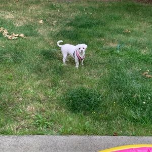 Meet your Posher, Mariela